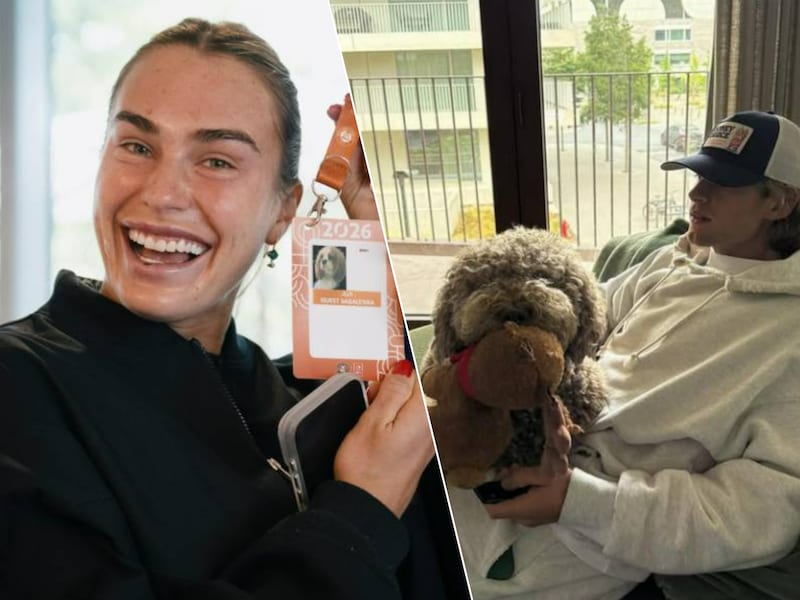 Een persoonlijke accreditatie en massage: ook de honden van Zizou Bergs en Aryna Sabalenka komen niets tekort op Roland Garros