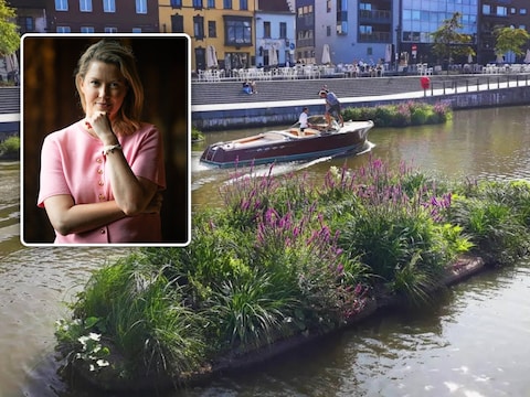 Volgens burgemeester Els van Doesburg (N-VA) belemmert dit soort groene eilandjes - hier op de Leie in Kortrijk - de scheepvaart in de stadshaven en evenementen zoals Tall Ships Races.