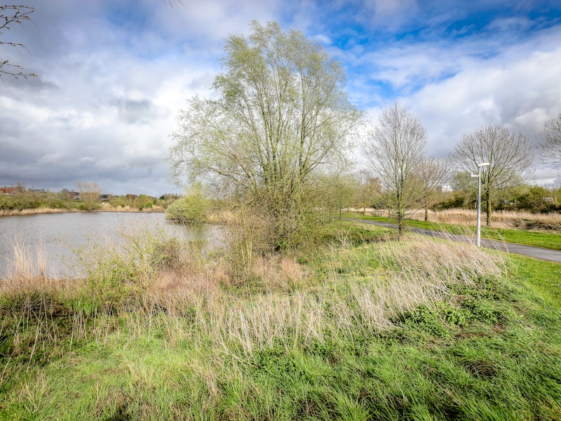 Binnenkort kan je een week lang zwemmen in deel van waterput van domein Krekemeersen