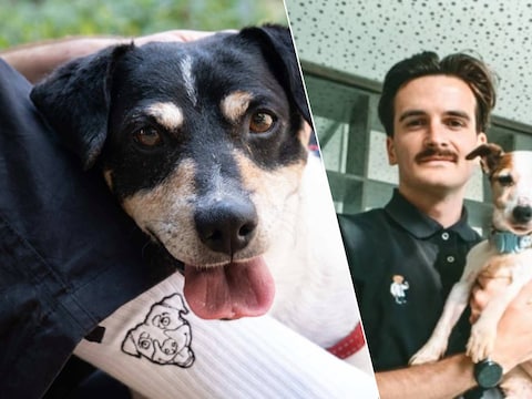 Wolf en 'zijn' kous, Kevin Garcia de los Santos van het Dierenasiel Gent
