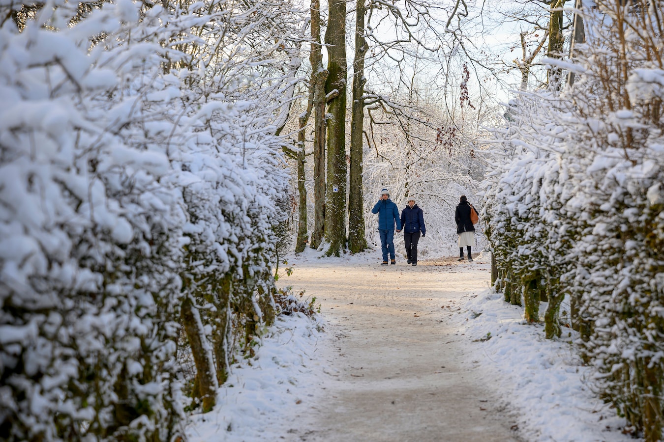 KIJK. Sneeuwpret in Ardennen: op de slee, op de skilatten of gewoon rollend  over de grond | Foto | hln.be