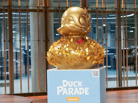 Duck parade Hasselt 2026 