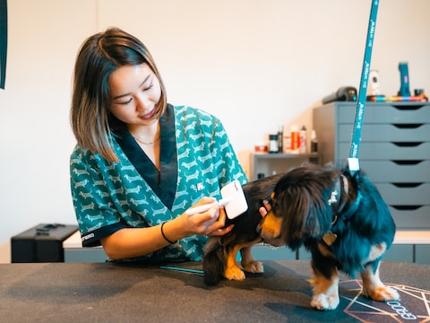 Emeline Hoste aan het werk in haar hondentrimsalon De Wafstraat.