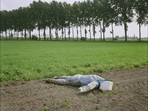 De Hedwigepolder in Nederland.