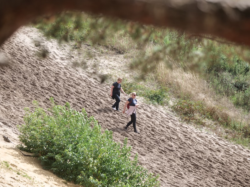 1.700 wandelaars en trailrunners trekken door De Teut in Zonhoven: bekijk hier de leukste beelden
