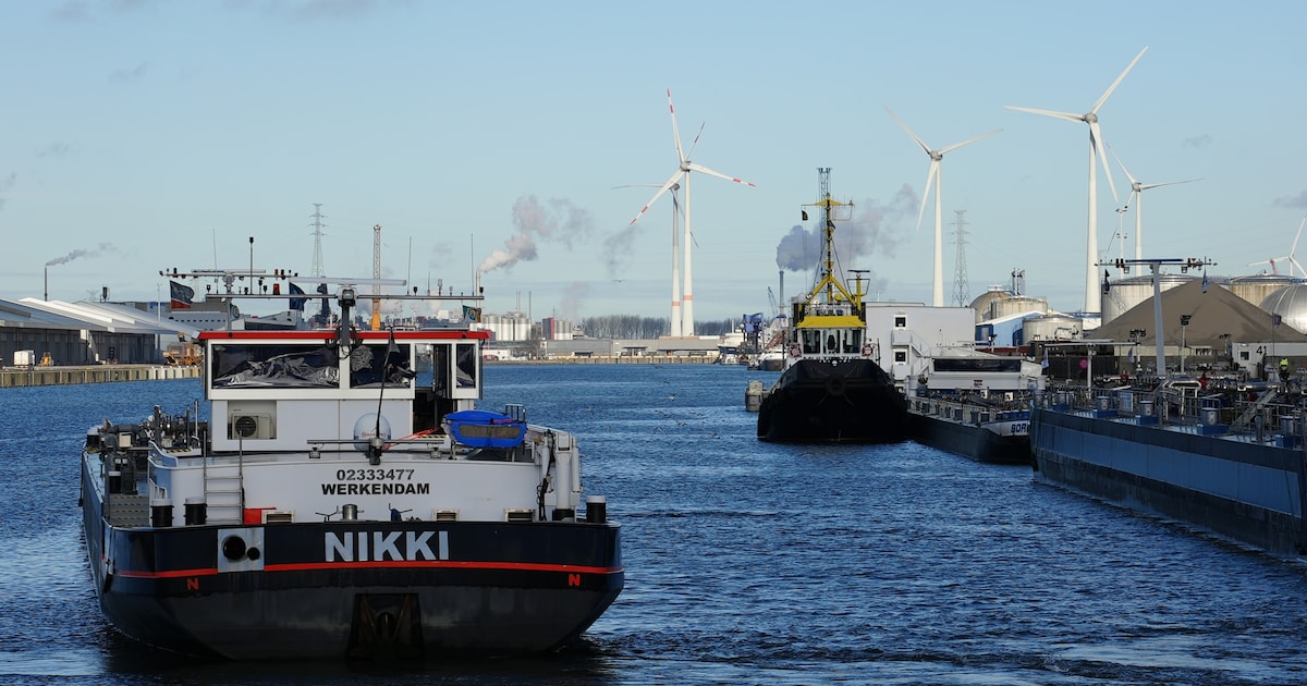North Sea Port organiseert opnieuw gratis rondvaarten door het havengebied: routes vanuit Vlissingen