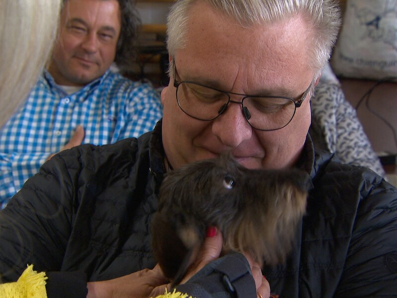 Prins Laurent sneert naar regering op Bring Your Dog To School-day