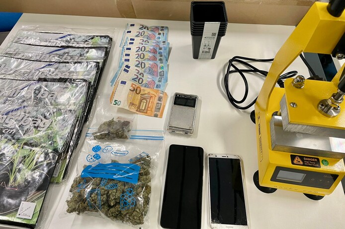 Drugspatrouille PZ Midow ontdekt cannabisplantage, nog voor ze goed en ...