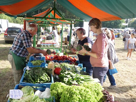 De boerenmarkt van Zulte. 