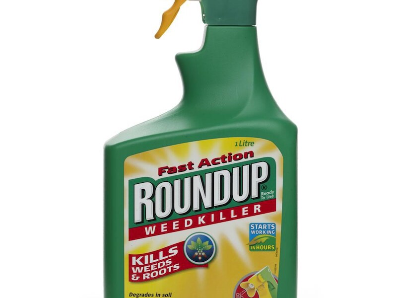 Rond glyfosaat, dat onder meer in de onkruidverdelger Roundup zit, is heel wat te doen na het uitlekken van de Monsanto Papers en het verbod op het gebruik door en de verkoop van glyfosaat aan particulieren te verbieden.