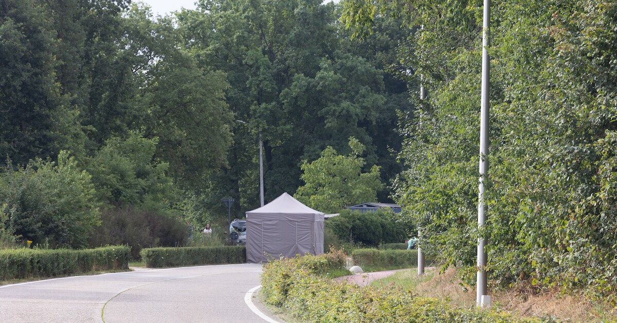 Fietser (62) komt om het leven na botsing in Meeuwen