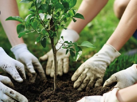 EcoWerf geeft 4de zak compost gratis: actie loopt tot 31 oktober op de recyclageparken
