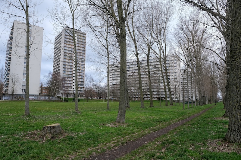 Op het plein tussen de woonblokken zouden de jongeren hun ruzie ‘uitpraten’.