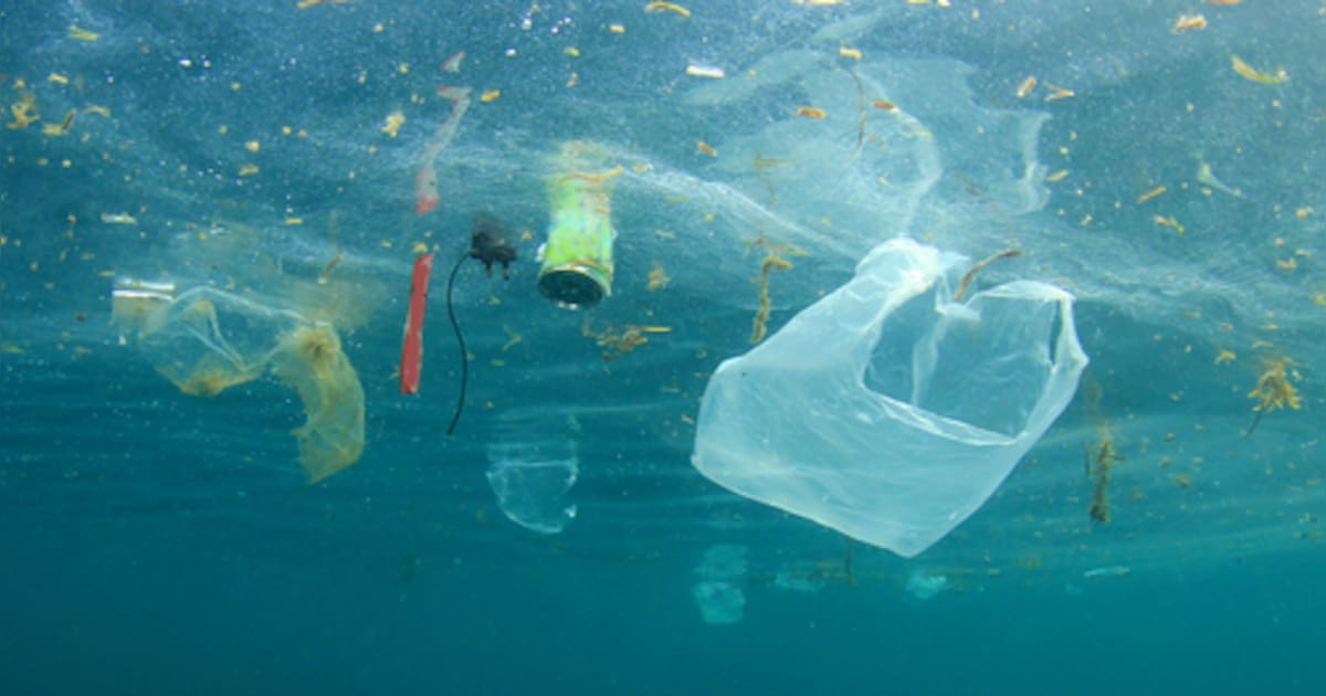 De ‘Great Pacific Garbage Patch’ creëert nieuwe drijvende ecosystemen ...