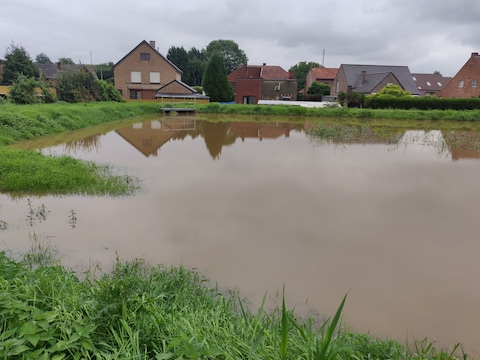 Maasrode Sint-Truiden.