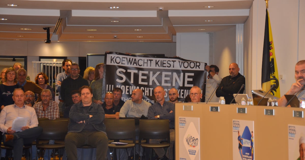 Moerbeeks Koewacht blijft bij Lokeren: meerderheid in gemeenteraad verwerpt voorstel aanhechting van