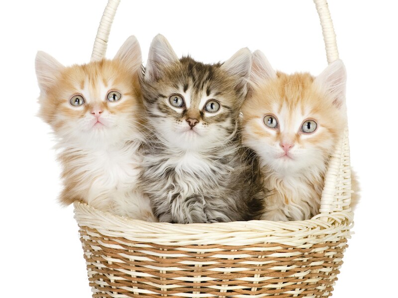 © Thinkstock.