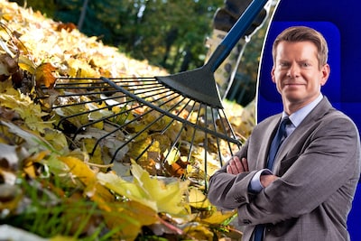 Grijze start, kwik klimt naar 16 graden: “Zaterdag en zondag zouden we zon meer te zien moeten krijgen”