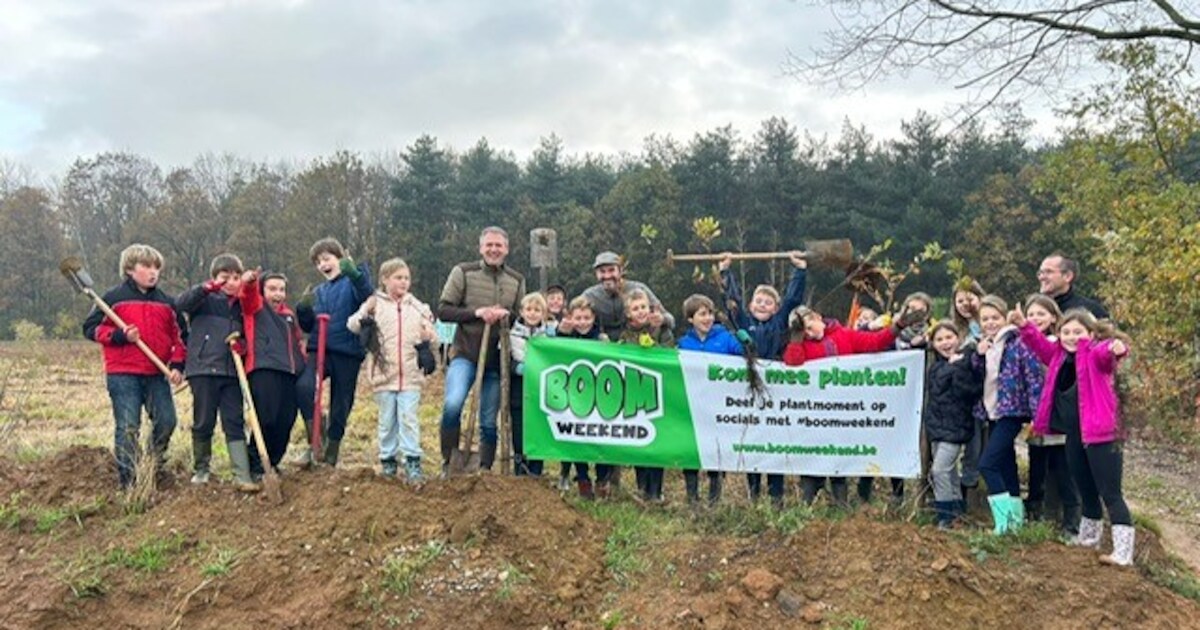 Gemeente Lummen en Natuurpunt bundelen krachten voor ‘Hertenrodebos ...