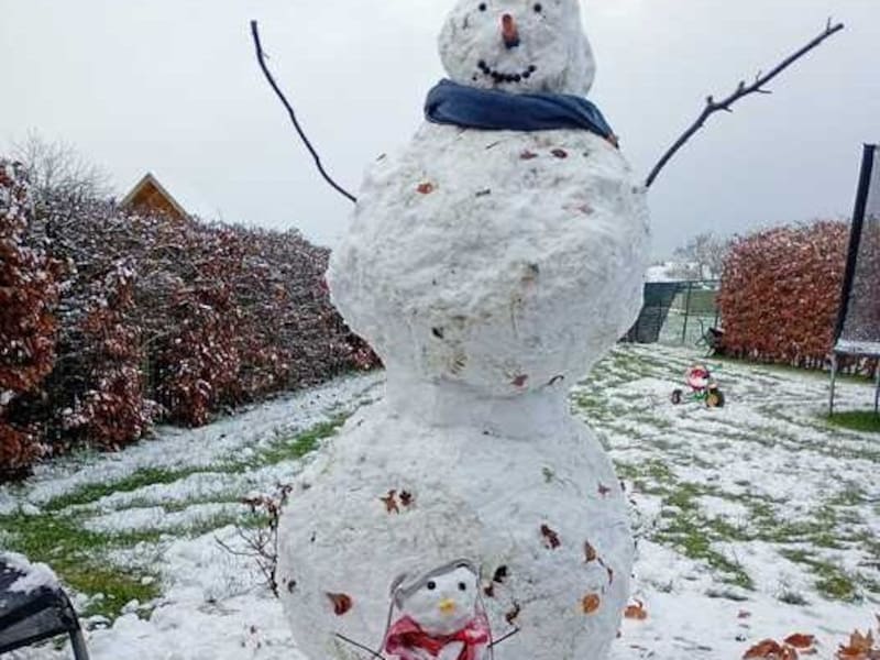Sneeuwpret in Brecht: kleine en grote sneeuwmannen vullen de tuin