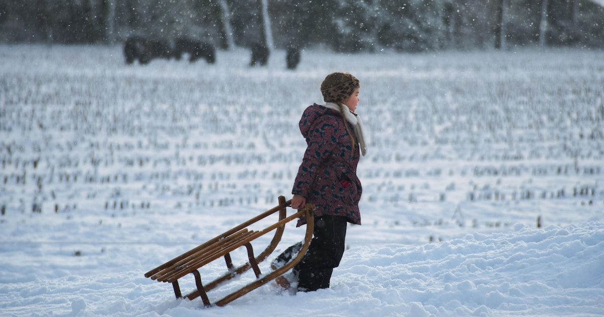 Politie in Nederland zoekt “verdachte man” die kinderen een gratis slee aanbiedt, maar vindt dan éch