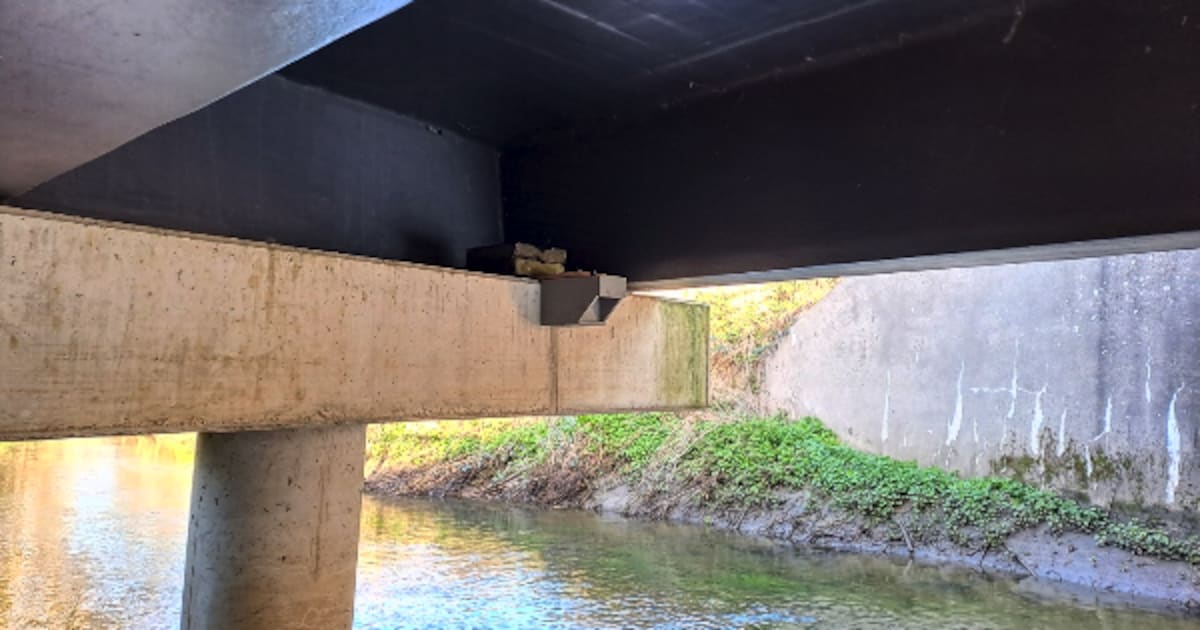 Natuurpunt hangt nestkast voor grote gele kwikstaart onder brug