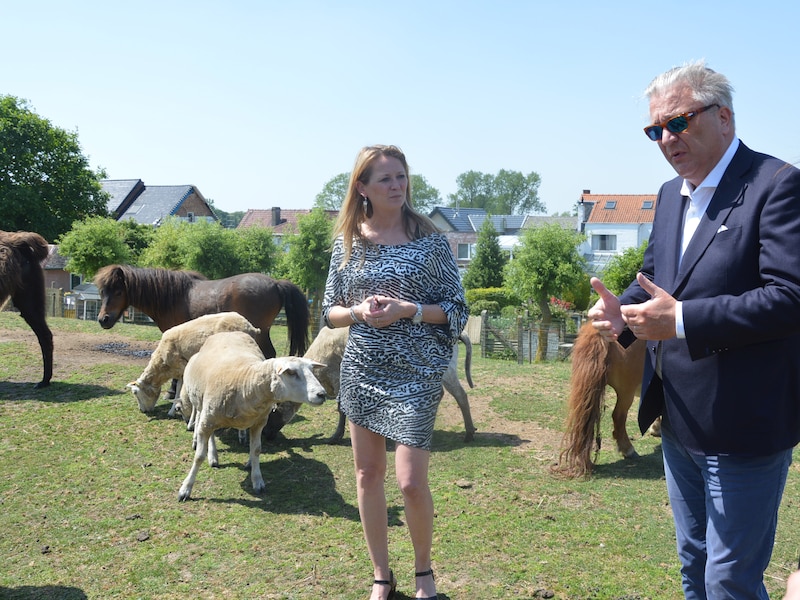 Advocaat van prins Laurent geeft tekst en uitleg bij diens dotatie: "Dit gaat van zijn nettoloon af"