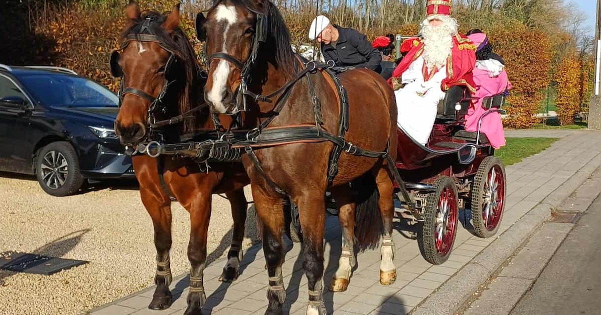 Sint-Maarten en zijn Pieten brengen feestelijk bezoek aan Chiro Sint-Lutgardis Papegem