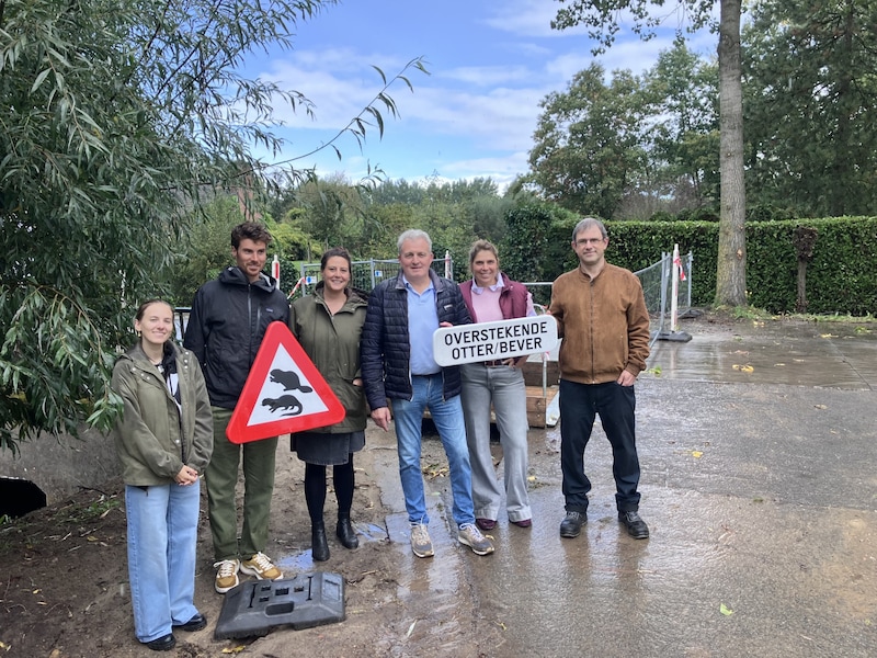 Aanleg van faunabuis beschermt otters én verhoogt verkeersveiligheid in Daknam-Dorp