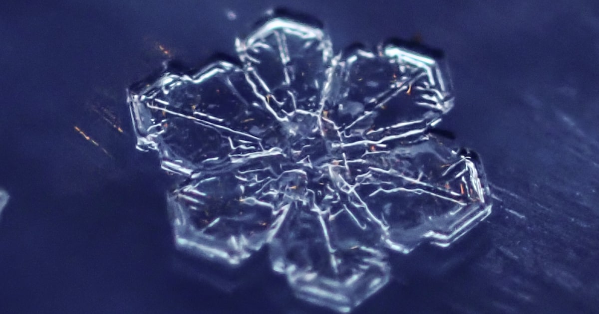 Lezer maakt prachtige microscopische beelden van sneeuwvlokken | Regio ...