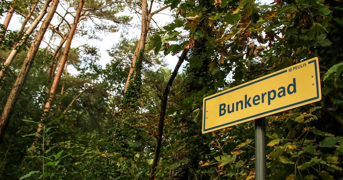 Wandeling langs zeven trage wegen in Beerzel
