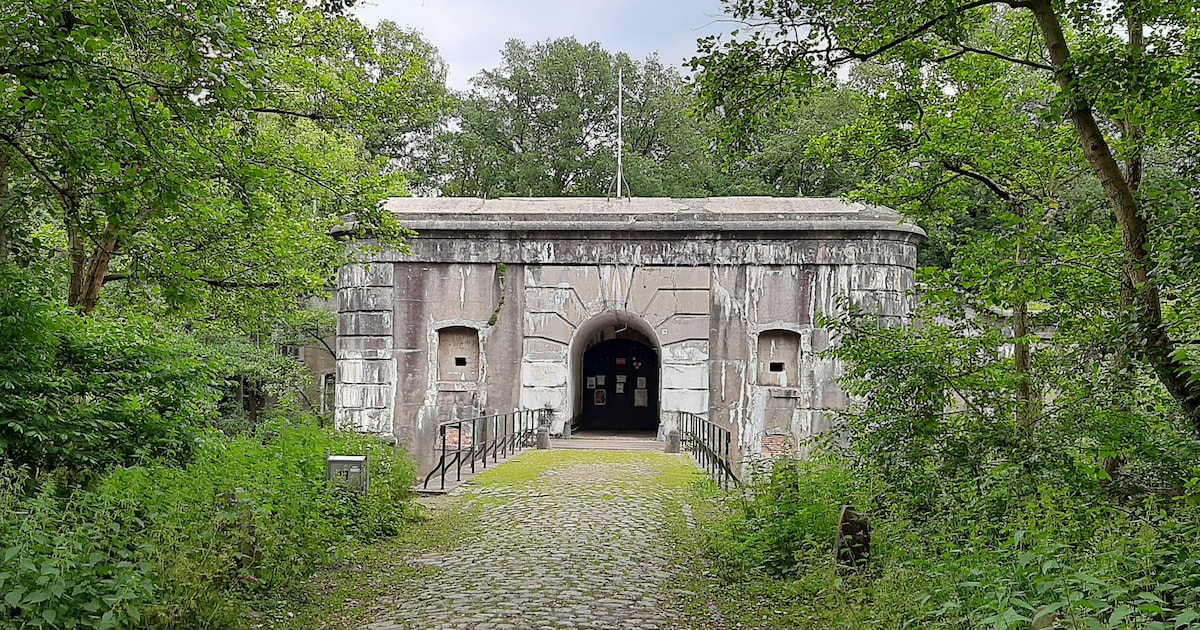 Expert neemt beginnende vogelaars op sleeptouw door Fort Oelegem