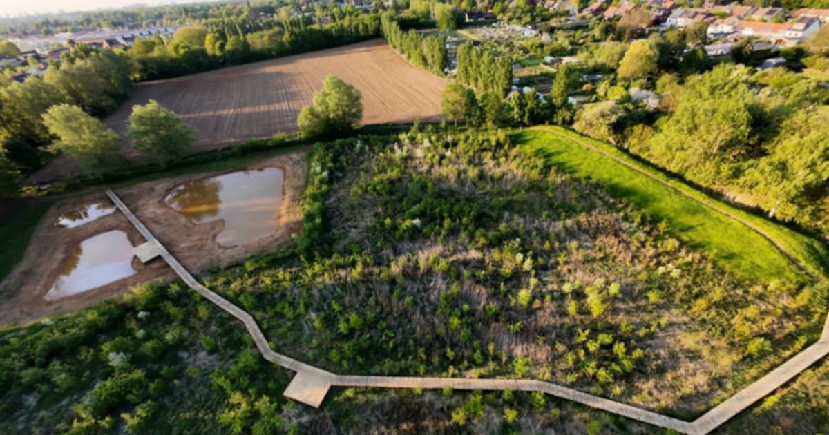 Ontdek kastelen, Fort 5 en de Beekvallei tijdens gratis natuurwandeling in Edegem