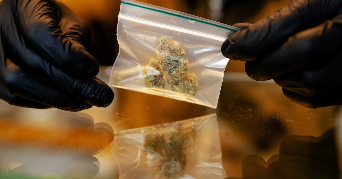Vier twintigers met drugs in auto en in onderbroek betrapt in Waregem ...