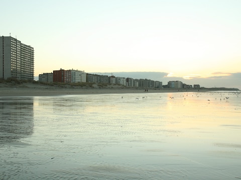 Illustratiebeeld kustlijn Oostduinkerke.