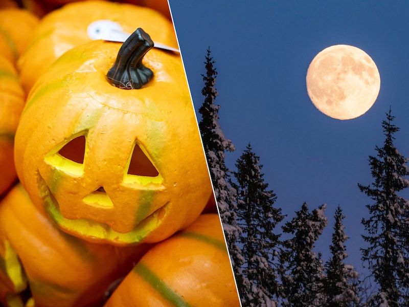 Geniet van dé ideale halloweenervaring in Hasselt of ga voor een vollemaanwandeling in Maasmechelen. 