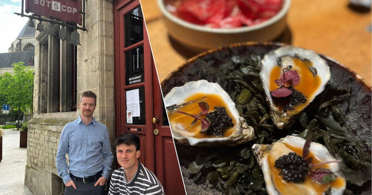 RESTOTIP. Culinair dineren bij hotspot Sotscop: “Een absolute meerwaarde voor Mechelen”