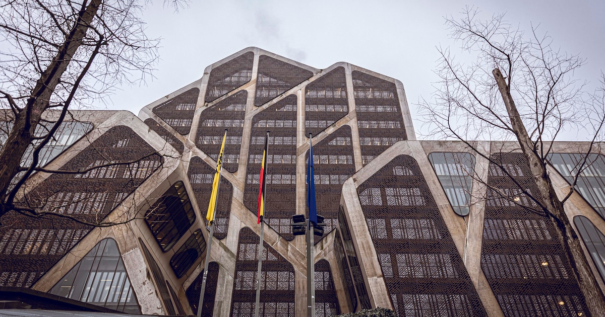 Twee dieven riskeren tot 30 maanden cel na reeks winkeldiefstallen in Limburg