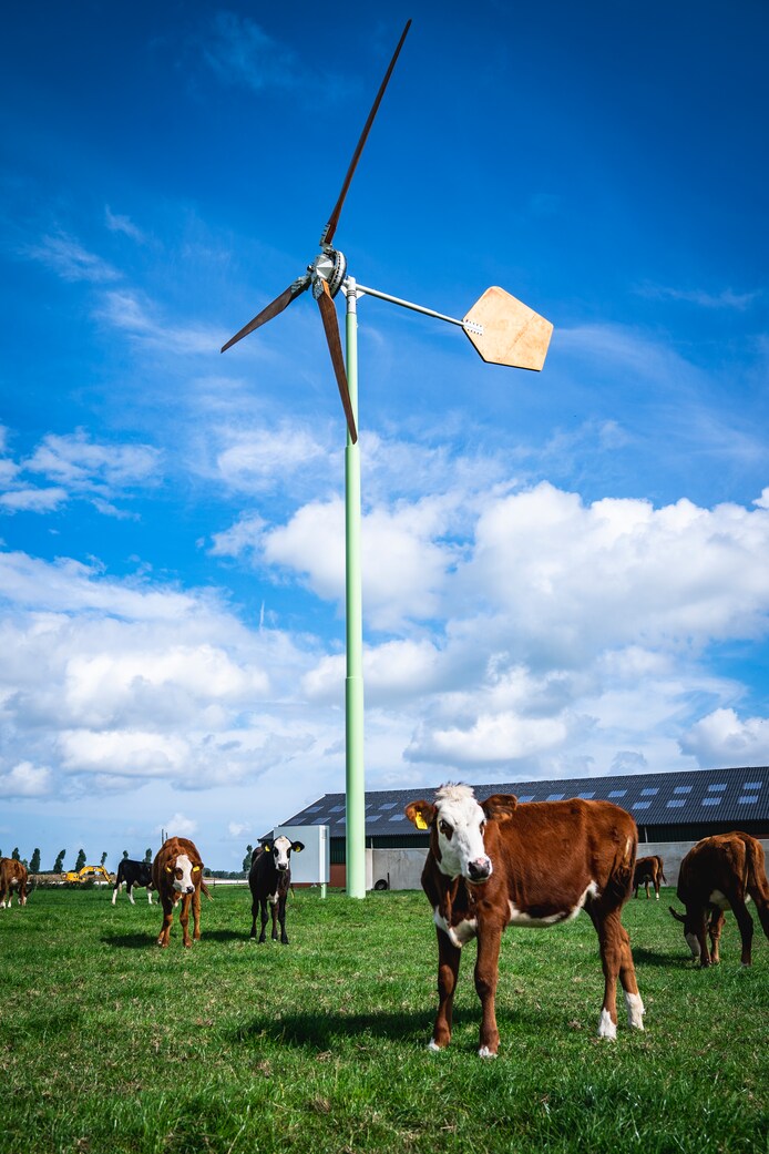 Kleine windmolens hebben de wind in de zeilen: Al 58 vergunningen ...