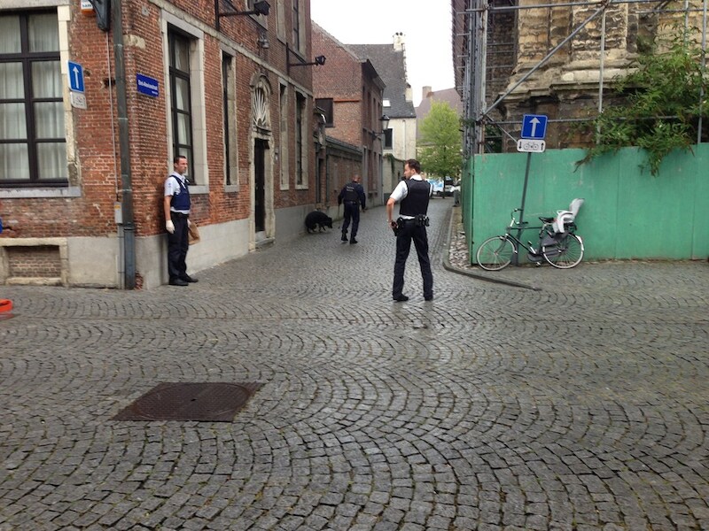 De politie zette meteen een grote klopjacht op touw.