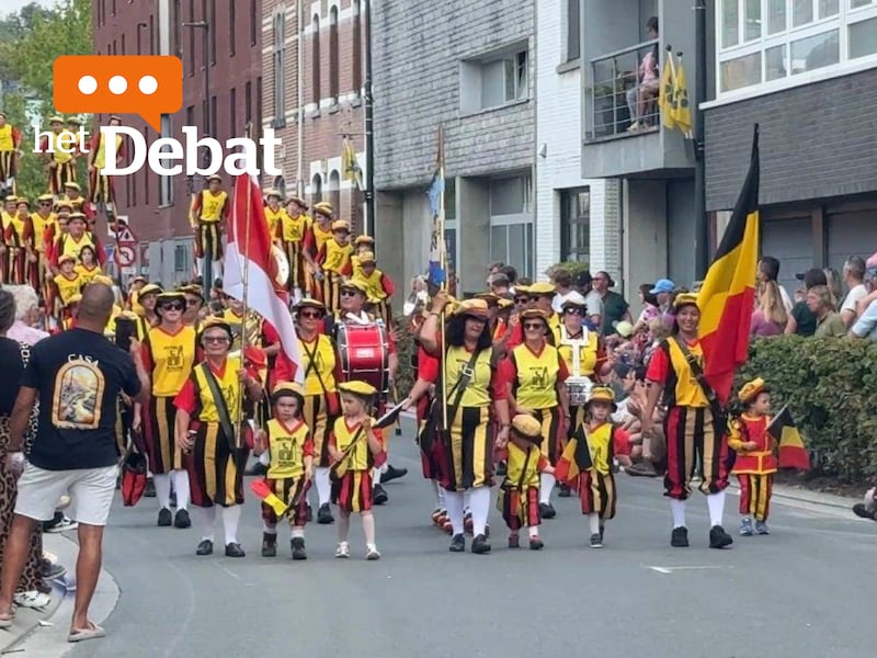OPROEP. Wat vond jij van de voorbije Druivenfeesten?
