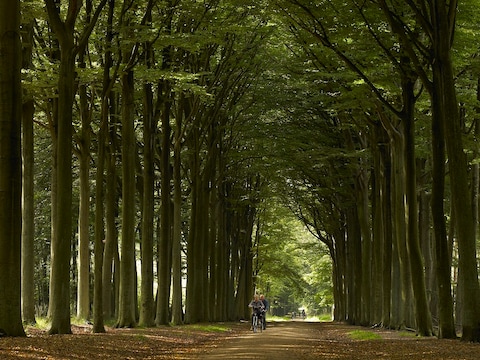 Stichting Kempens Landschap en de gemeente Westerlo gaan voortaan samen de Beeltjens en de Kwarekken beheren.