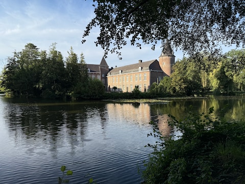 Park Kruikenburg is opnieuw volledig toegankelijk. De beheerwerken zijn afgerond, al volgen de komende dagen nog opruimwerken en herstellingen aan enkele paden.