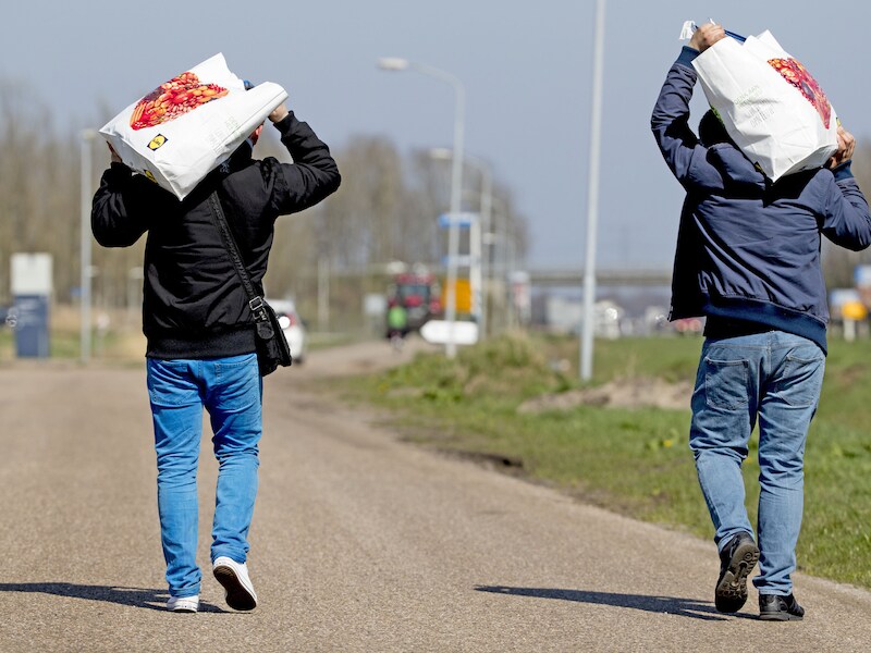 Foto ter illustratie.