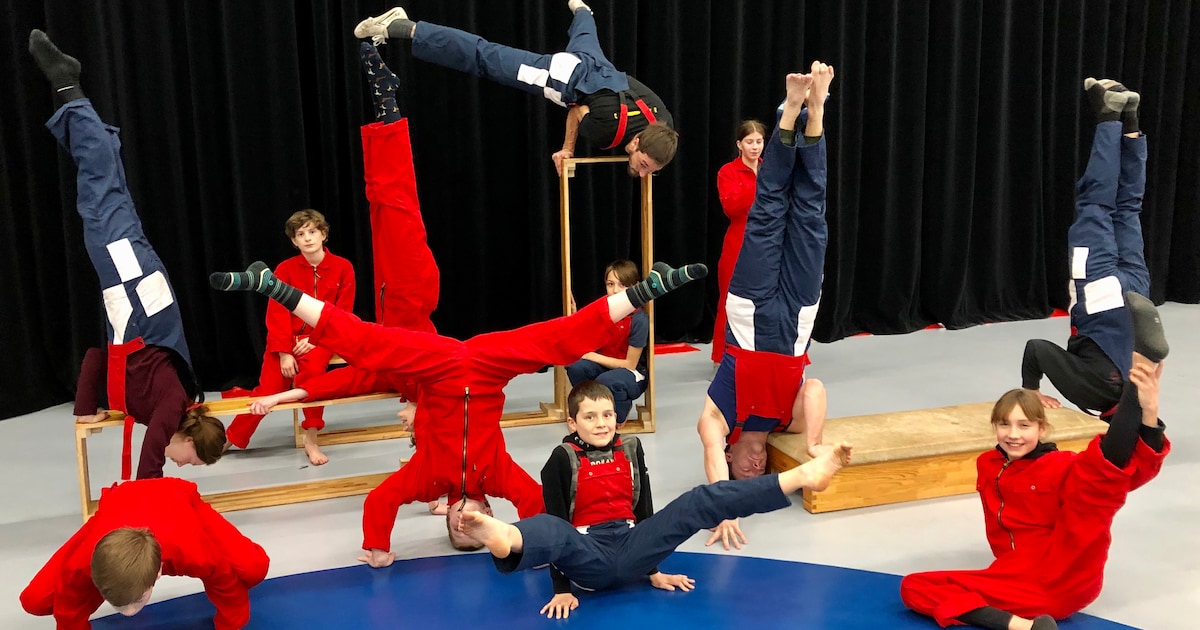 Vlaanderen trekt 1 miljoen euro extra uit voor circussector: ook Mechelse gezelschappen krijgen steu