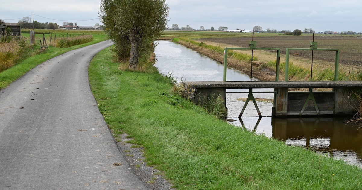 Maatregelen voor Lombardsijde, Schore, Mannekensvere door vaststelling van vogelgriep in Westhoek