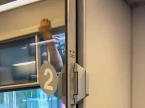 Op deze foto is te zien hoe een man via het treinraam naar buiten probeert te klimmen in het station van Diest.