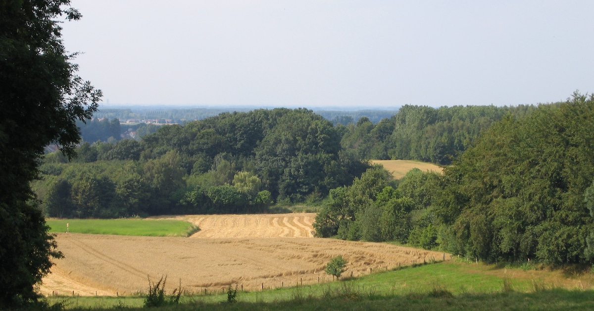 Brabantse Wouden zijn nationaal park: wandel door het Bertembos ...