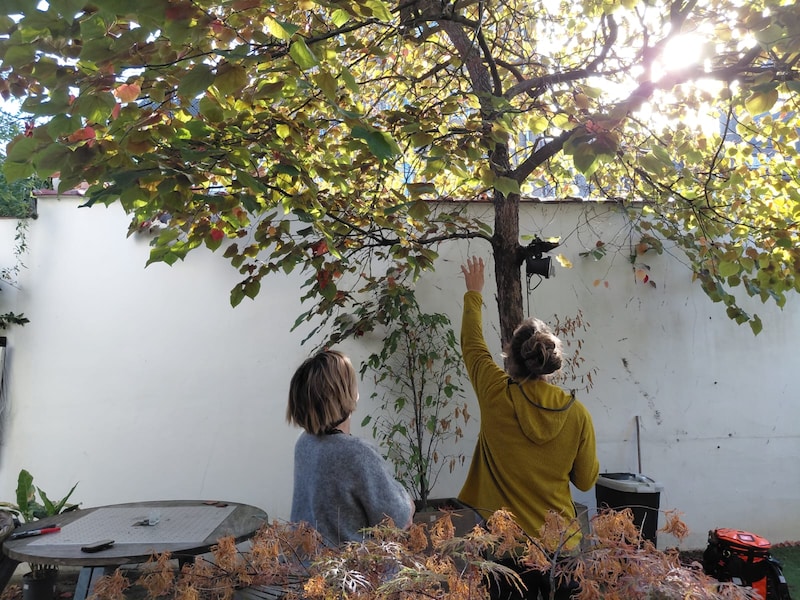 Met de actie wil het Leuvense stadsbestuur jonge bomen alle kansen geven.