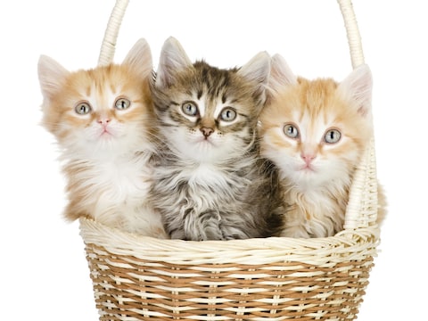 © Thinkstock.